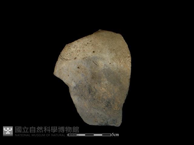 陶片藏品圖，第2張