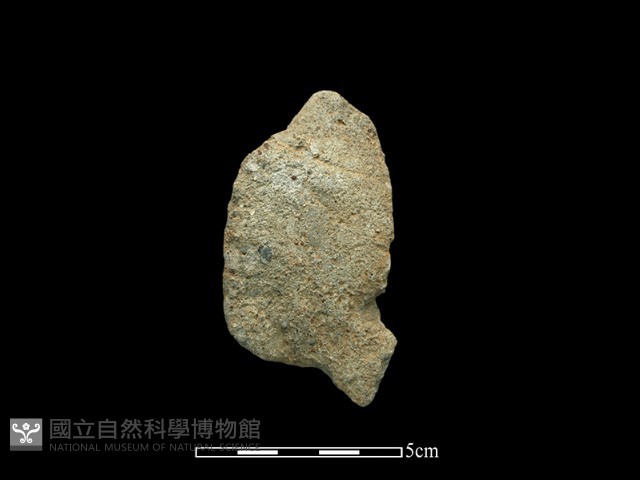 斧鋤形器藏品圖，第2張