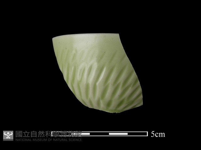 青瓷藏品圖，第1張