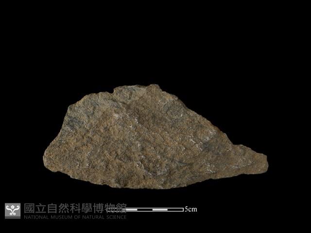 石片器藏品圖，第2張