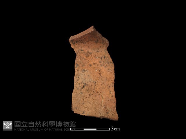 陶片藏品圖，第2張