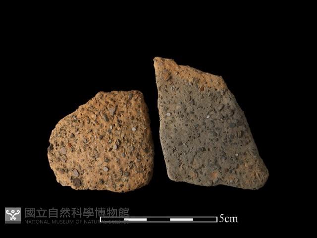 陶片藏品圖，第1張