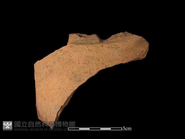 陶片藏品圖，第2張