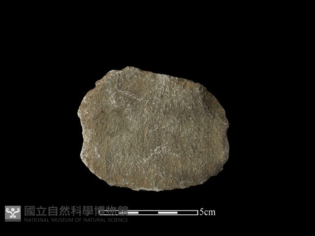 石片器藏品圖，第1張