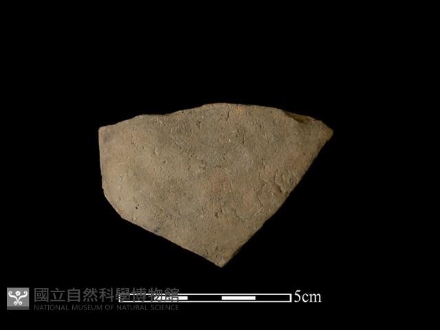 陶片藏品圖，第1張