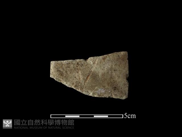 磨製石器藏品圖，第2張