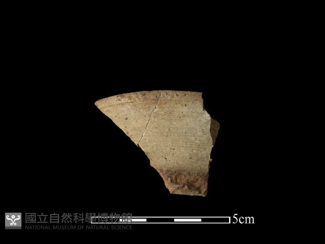 陶罐藏品圖，第1張