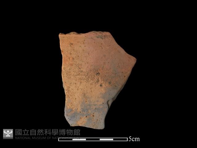 陶片藏品圖，第2張