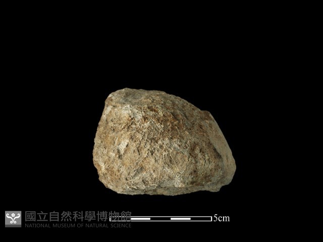 石球藏品圖，第1張