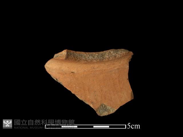 陶片藏品圖，第2張