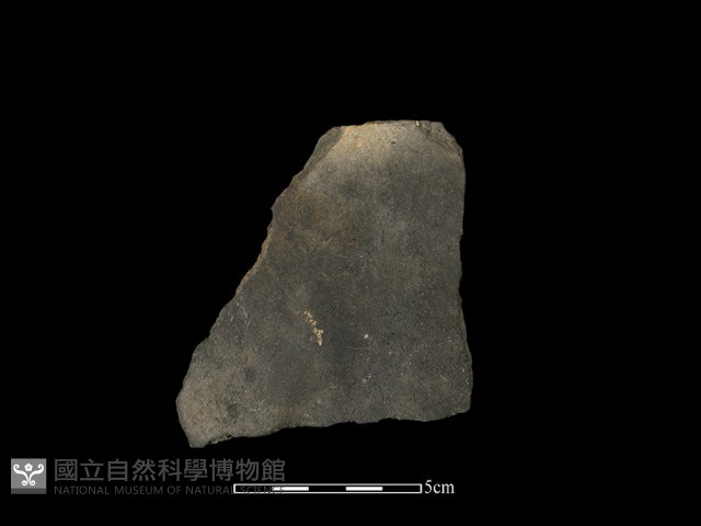 陶片藏品圖，第1張