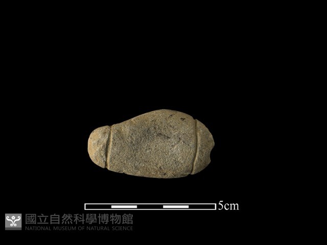 網墜藏品圖，第2張