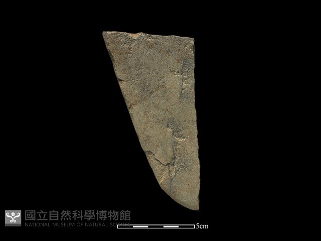 磨製斧鋤形器藏品圖，第2張