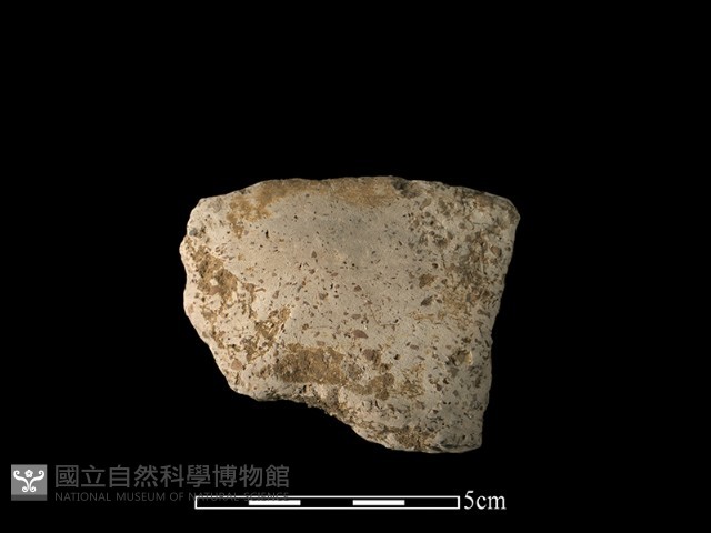 陶片藏品圖，第2張
