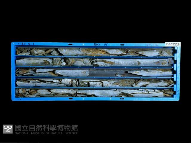 登錄號:C005226藏品圖，第1張