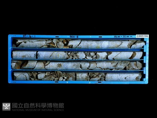 登錄號:C005186藏品圖，第1張