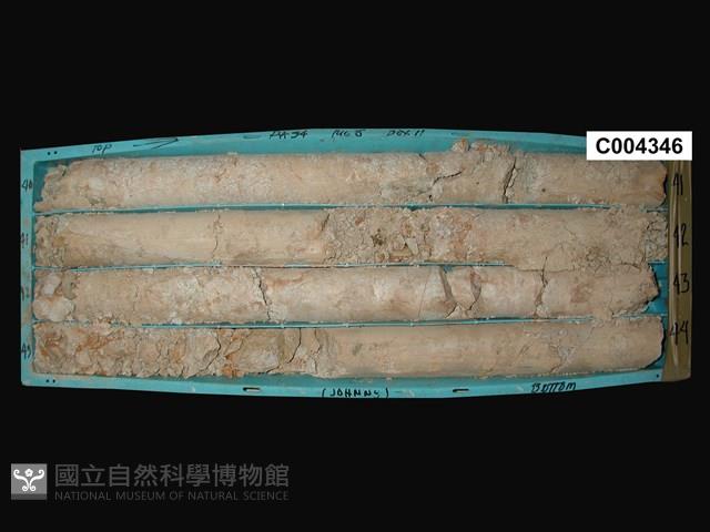 登錄號:C004346藏品圖，第1張