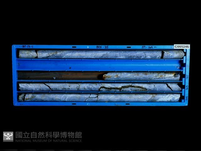 登錄號:C005246藏品圖，第1張