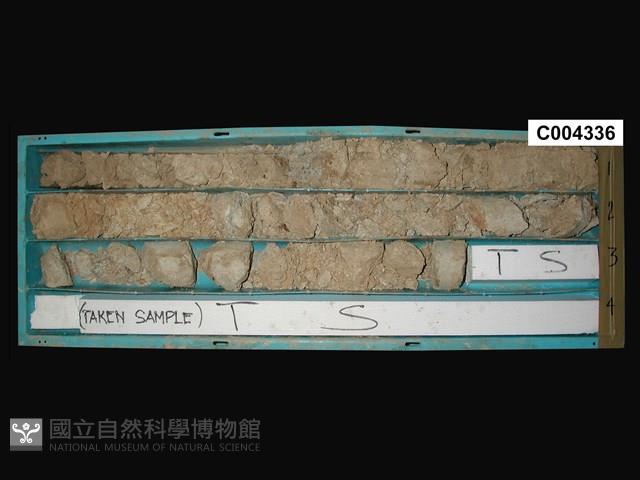 登錄號:C004336藏品圖，第1張