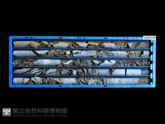 登錄號:C005195藏品圖，第1張