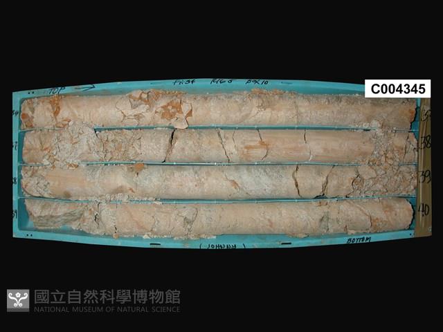 登錄號:C004345藏品圖，第1張