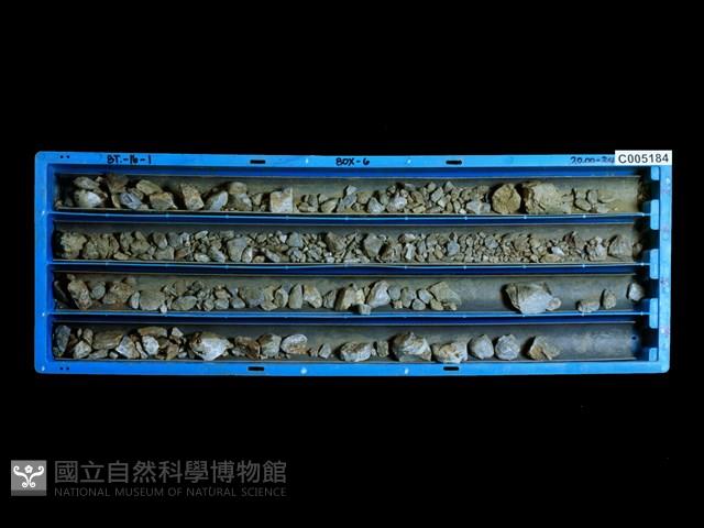 登錄號:C005184藏品圖，第1張