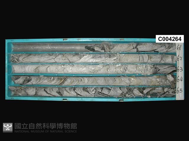 登錄號:C004264藏品圖，第1張