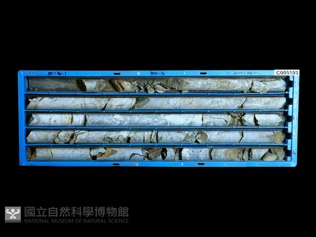 登錄號:C005193藏品圖，第1張