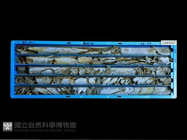 登錄號:C005227藏品圖，第1張