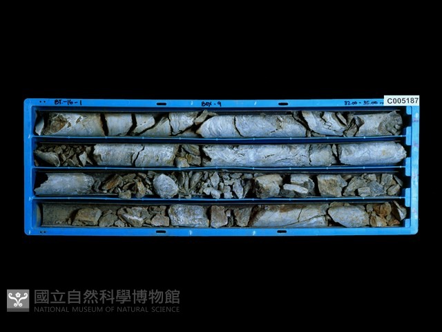 登錄號:C005187藏品圖，第1張
