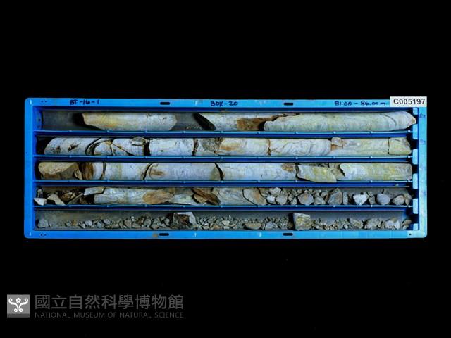 登錄號:C005197藏品圖，第1張