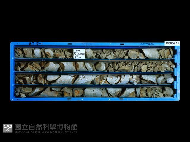 登錄號:C005217藏品圖，第1張