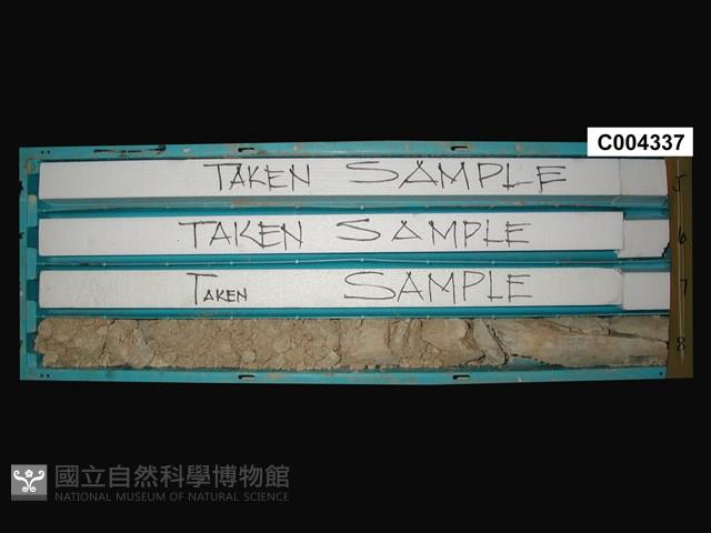 登錄號:C004337藏品圖，第1張