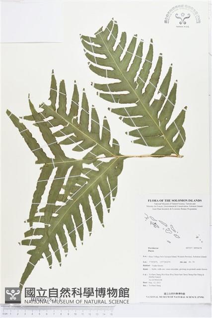 登錄號:BP00678藏品圖，第3張