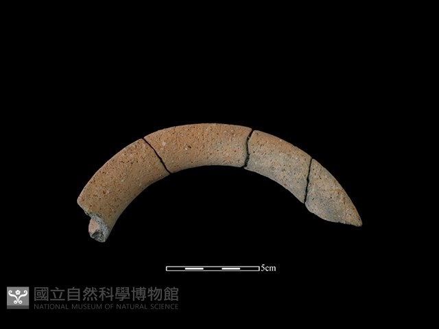 陶罐藏品圖，第3張