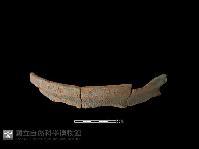 陶罐藏品圖，第3張