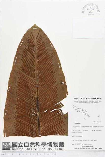 登錄號:BP01842藏品圖，第3張