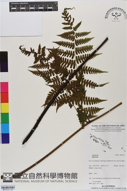 登錄號:BP03121藏品圖，第3張