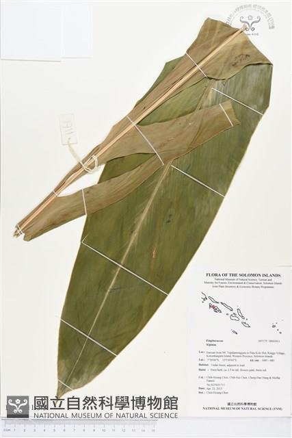 登錄號:BS02611藏品圖，第3張