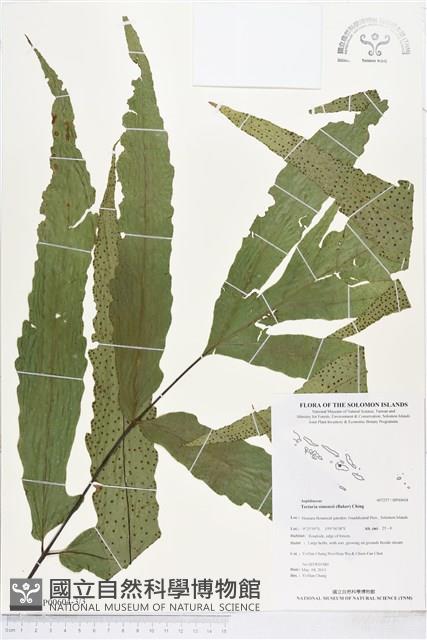 登錄號:BP00604藏品圖，第3張