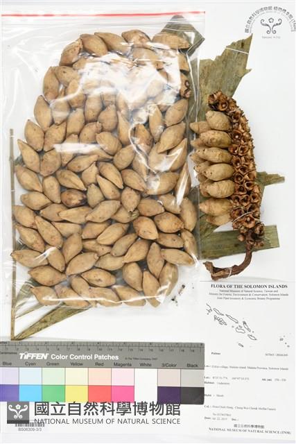 登錄號:BS06309藏品圖，第3張