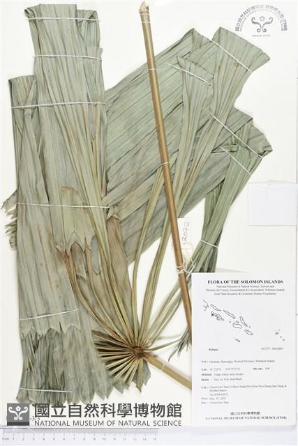 登錄號:BS02883藏品圖，第3張