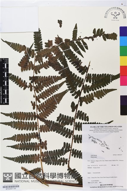 登錄號:BP02557藏品圖，第3張