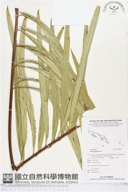 登錄號:BP00017藏品圖，第3張