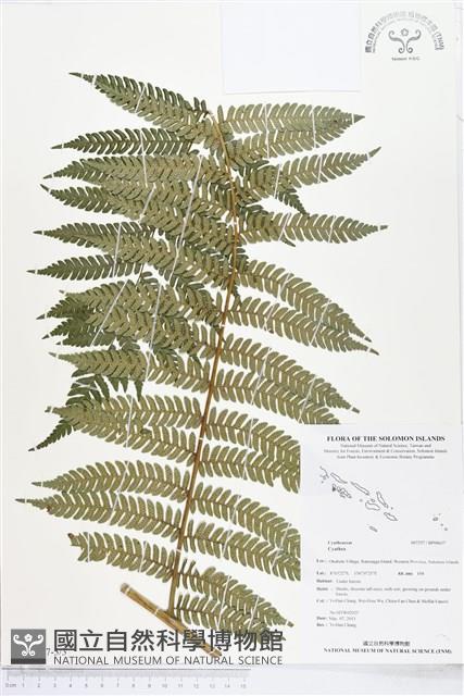 登錄號:BP00637藏品圖，第3張