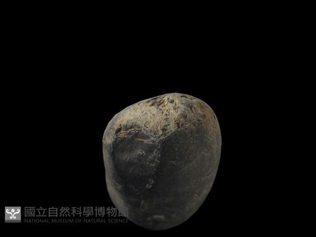 石鎚藏品圖，第1張