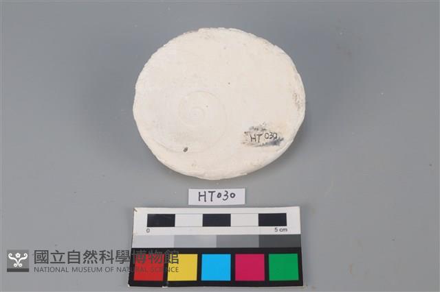 獸骨藏品圖，第2張