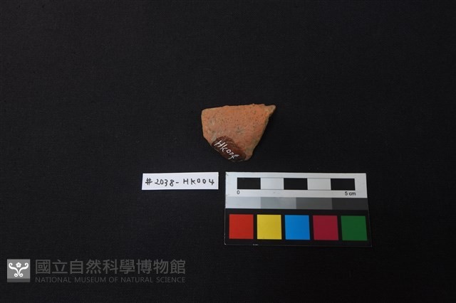 陶片藏品圖，第2張