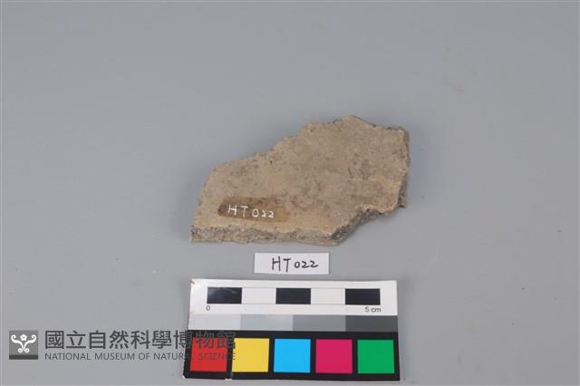 陶片藏品圖，第2張