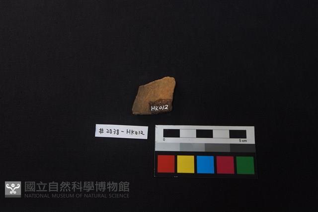 陶片藏品圖，第2張